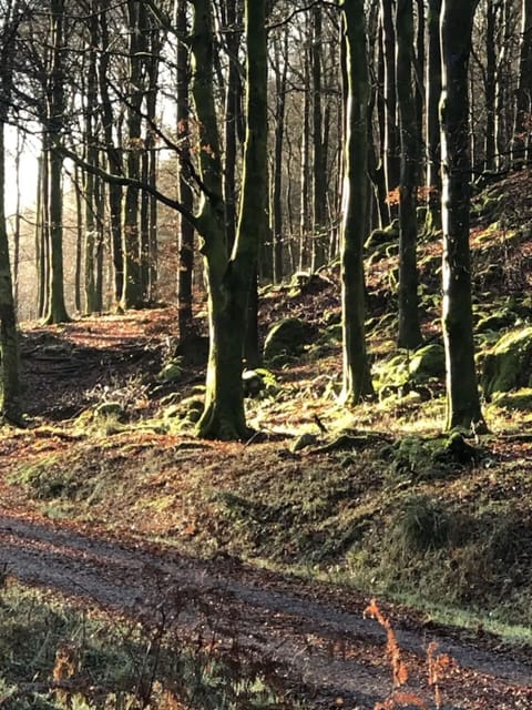 Cottage | Property grounds