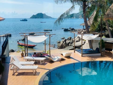 Outdoor pool, sun loungers