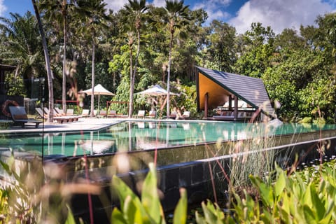 Outdoor pool, pool umbrellas, sun loungers