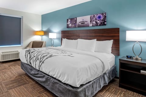 Standard Room, 1 King Bed, Non Smoking | Premium bedding, down comforters, pillowtop beds, individually decorated