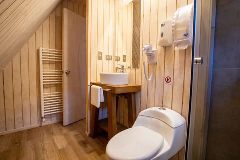 Standard Cabin (4 Adults) | Bathroom | Combined shower/tub, rainfall showerhead, hair dryer, towels