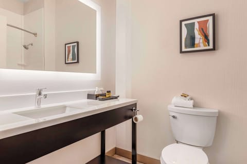 Combined shower/tub, rainfall showerhead, free toiletries, hair dryer