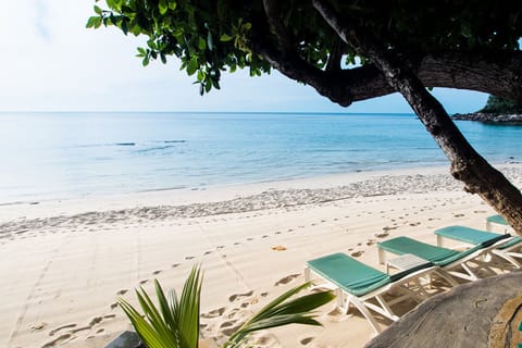 On the beach, sun loungers, beach umbrellas