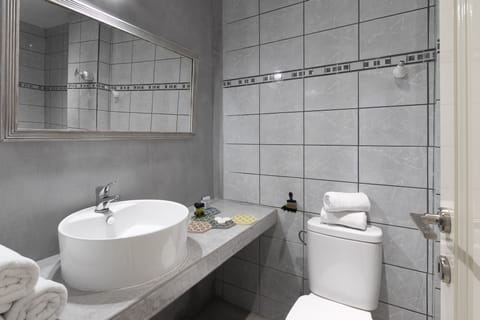 Suite | Bathroom | Shower, free toiletries, hair dryer, towels