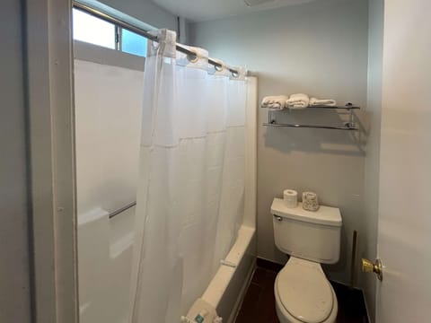 Combined shower/tub, free toiletries, hair dryer, towels