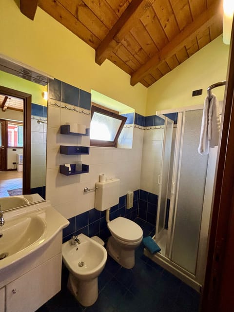 Single Room | Bathroom | Shower, hair dryer, bidet