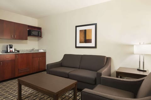 Suite, 1 Queen Bed, Non Smoking (One-Bedroom) | Desk, laptop workspace, blackout drapes, iron/ironing board