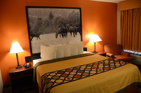 Room, 1 King Bed, Accessible, Non Smoking (Mobility Accessible) | Desk, iron/ironing board, free WiFi, bed sheets