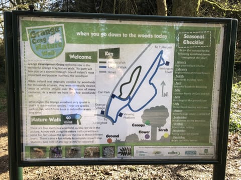 Cabin | Miscellaneous