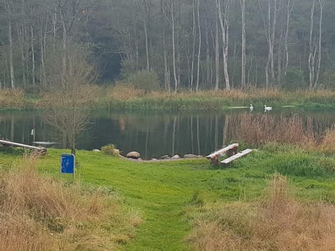 House | Miscellaneous