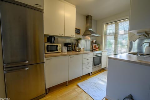 Apartment, 3 Bedrooms, Smoking, Balcony | Private kitchen | Fridge, microwave, stovetop, dishwasher