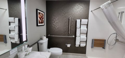 Combined shower/tub, free toiletries, hair dryer, towels