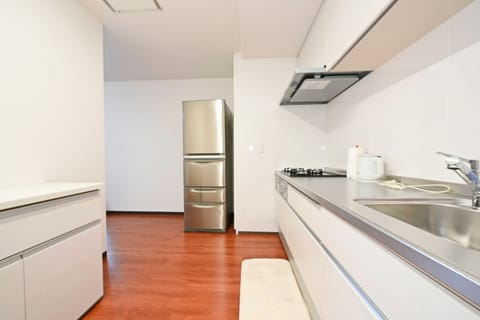 Premium Apartment | Private kitchen | Full-size fridge, microwave, stovetop, electric kettle