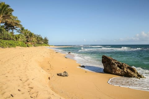 House, 2 Bedrooms | Beach | On the beach