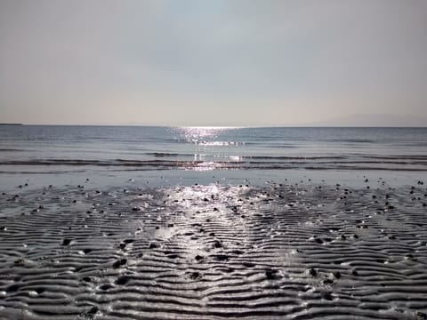Cabin | Beach | Beach nearby