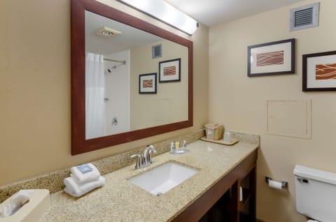 Room, 1 King Bed, Non Smoking | Bathroom | Combined shower/tub, free toiletries, hair dryer, towels