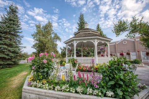 Outdoor wedding area