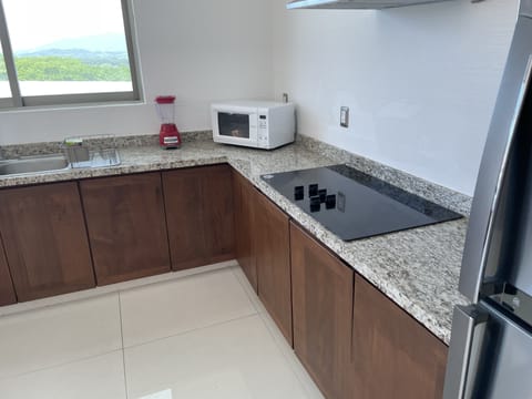 Panoramic Apartment | Private kitchen | Fridge, blender, cookware/dishes/utensils