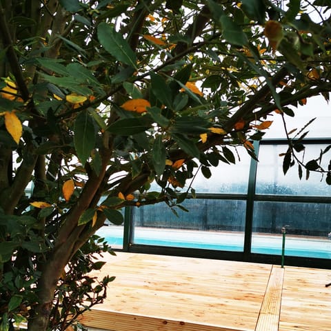 Indoor pool, seasonal outdoor pool