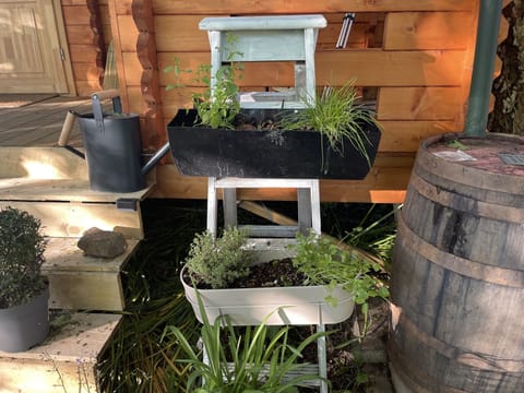 Cabin | Property grounds