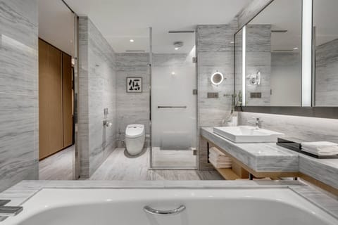 Separate tub and shower, hair dryer, bathrobes, electronic bidet