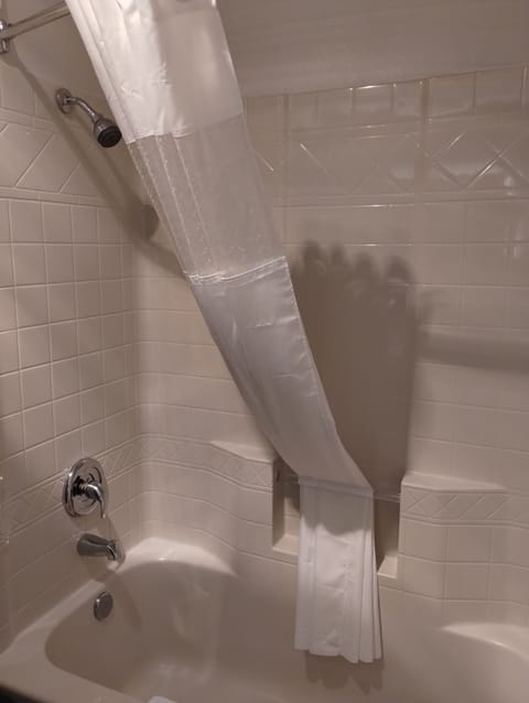 Combined shower/tub, free toiletries, hair dryer, towels