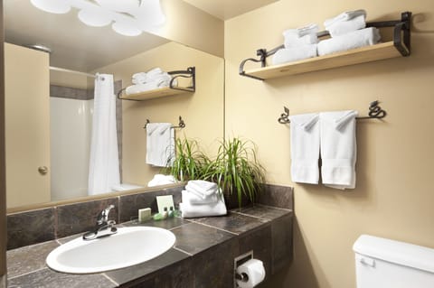 Family Suite, 1 King, 1 Queen, Kitchenette | Bathroom | Separate tub and shower, free toiletries, hair dryer, towels