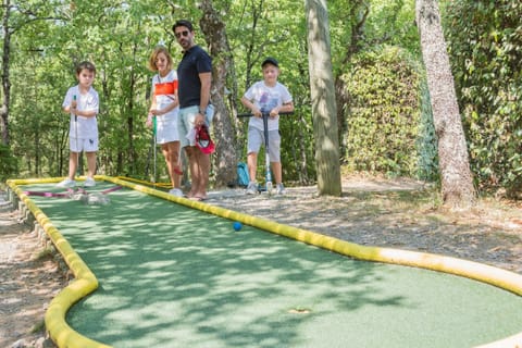 Mini-golf