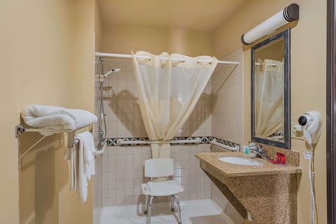 Standard Room, 1 Queen Bed, Accessible, Refrigerator & Microwave | Bathroom | Combined shower/tub, deep soaking tub, hair dryer, towels