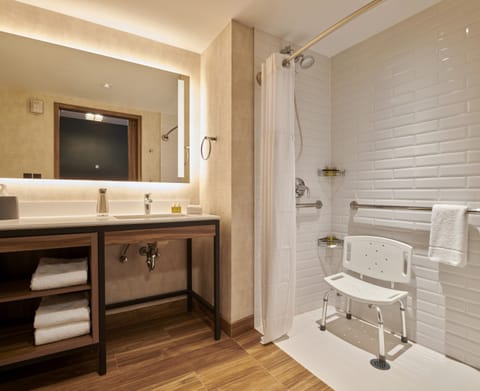 Traditional Room, 1 King Bed | Bathroom | Combined shower/tub, rainfall showerhead, hair dryer