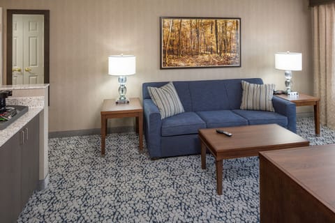 Suite, 1 Bedroom | Desk, blackout drapes, iron/ironing board, free cribs/infant beds