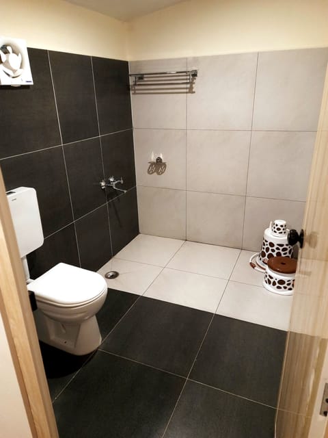 Deluxe Double Room | Bathroom | Shower, free toiletries, towels