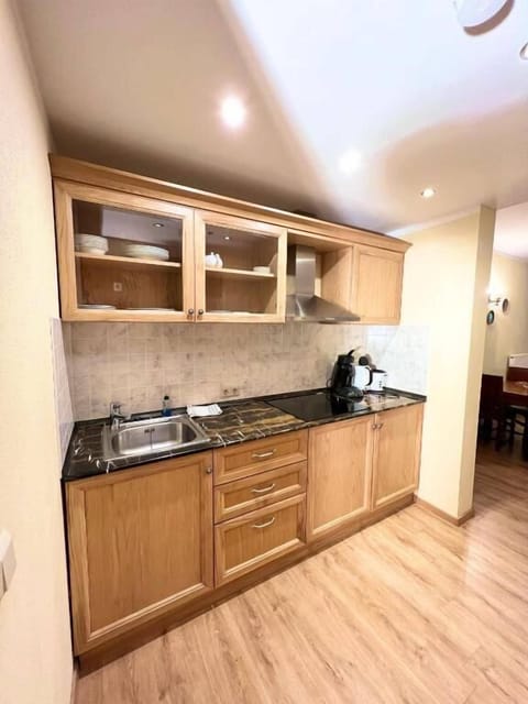 Apartment, 1 Bedroom, Balcony | Private kitchen