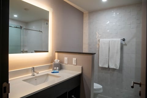 Suite, 1 King Bed | Bathroom | Shower, free toiletries, hair dryer