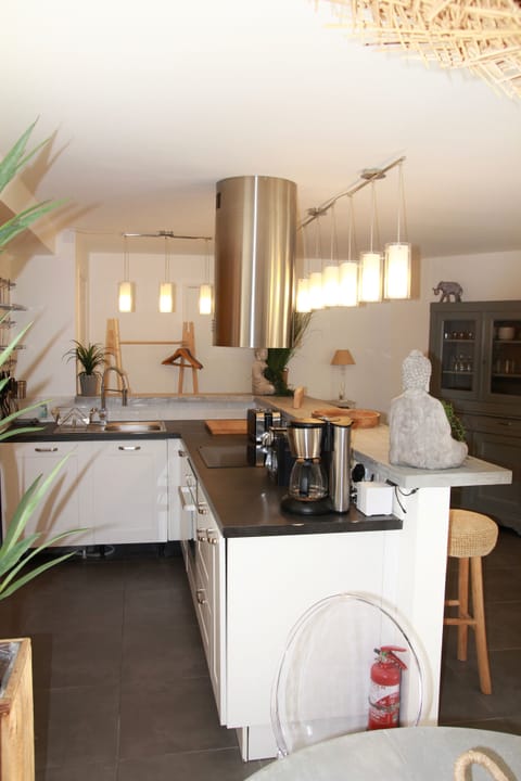 Family Apartment, Terrace | Private kitchen