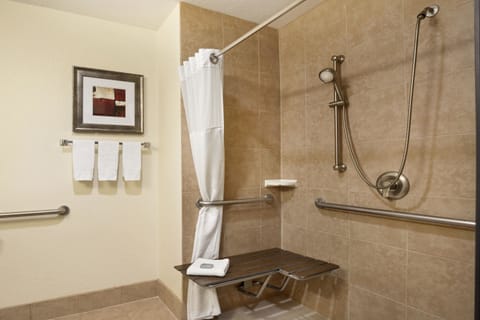 Combined shower/tub, hair dryer, towels