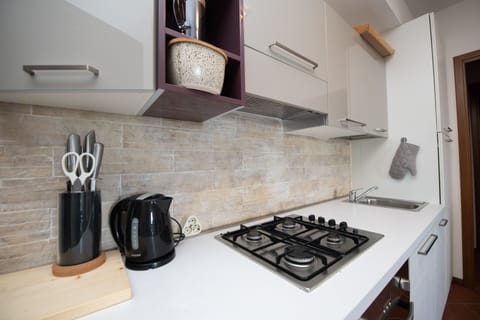 Family Apartment | Private kitchen | Fridge, microwave, oven, stovetop