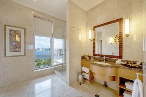 Presidential Suite | View from room