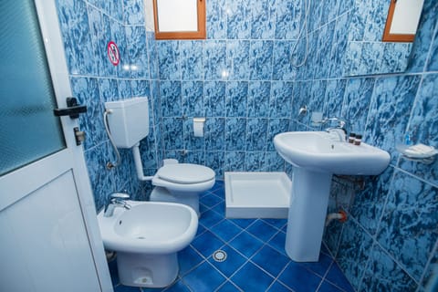 Family Room | Bathroom | Shower, free toiletries, hair dryer, bidet