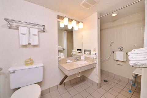 Combined shower/tub, free toiletries, hair dryer, towels