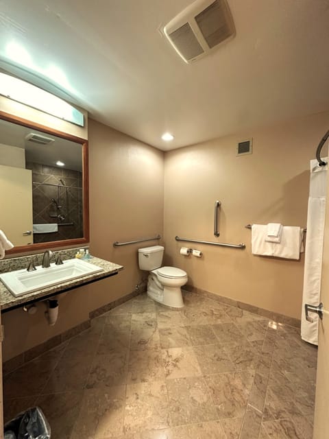 Executive Room, 1 Queen Bed | In-room safe, desk, iron/ironing board, free WiFi