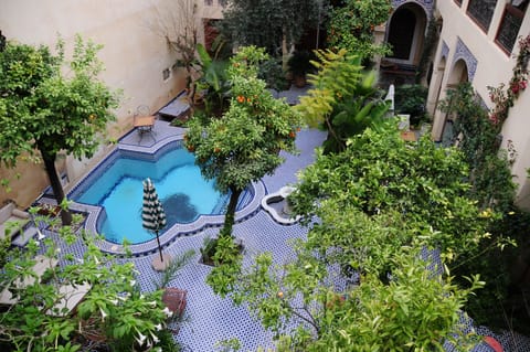 Seasonal outdoor pool, pool umbrellas