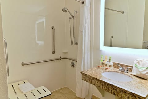 Room, 1 King Bed, Accessible (Roll In Shower) | Bathroom | Eco-friendly toiletries, hair dryer, towels