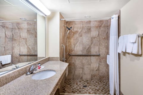 Combined shower/tub, free toiletries, hair dryer, towels