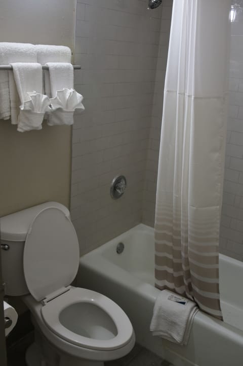 Combined shower/tub, hair dryer, towels