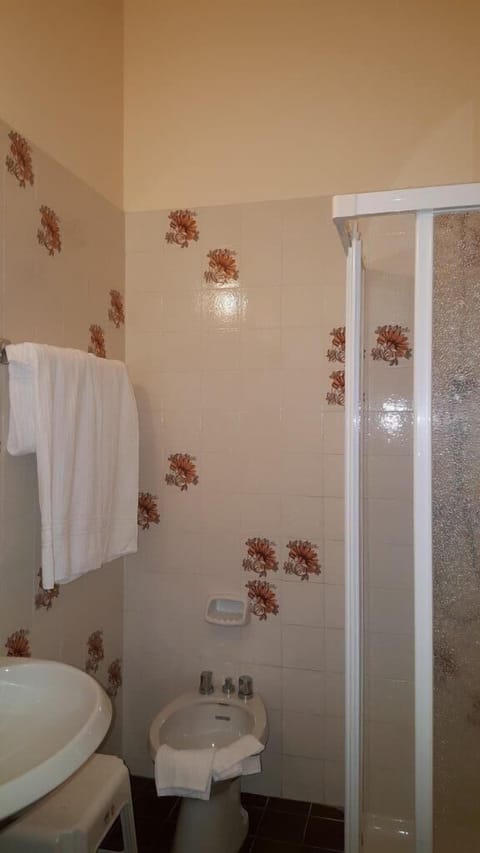 Double or Twin Room | Bathroom | Shower, hair dryer, bidet, towels