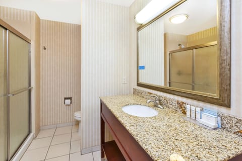 Room, Accessible, Non Smoking | Bathroom shower