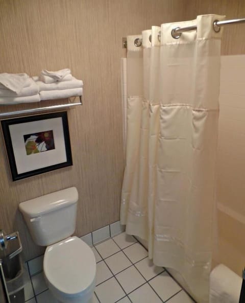 Combined shower/tub, free toiletries, hair dryer, towels