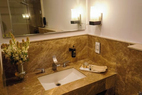 Suite | Bathroom | Shower, rainfall showerhead, free toiletries, hair dryer