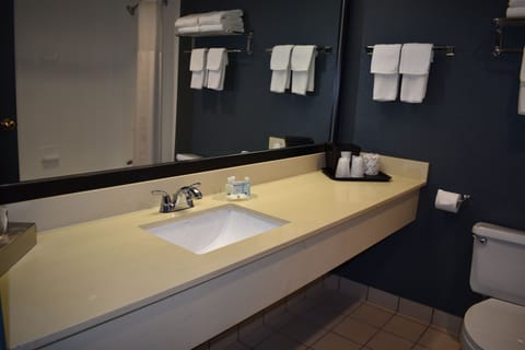 Room, 1 King Bed, Non Smoking (Pet Friendly) | Bathroom | Combined shower/tub, free toiletries, hair dryer, towels